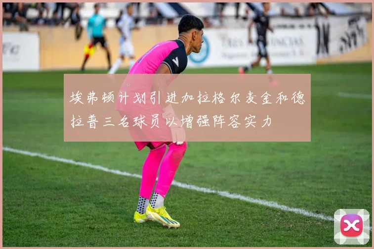 埃弗顿计划引进加拉格尔麦金和德拉普三名球员以增强阵容实力