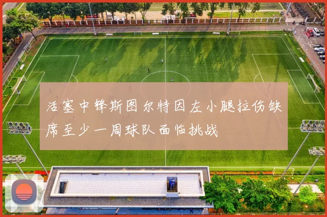 活塞中锋斯图尔特因左小腿拉伤缺席至少一周球队面临挑战